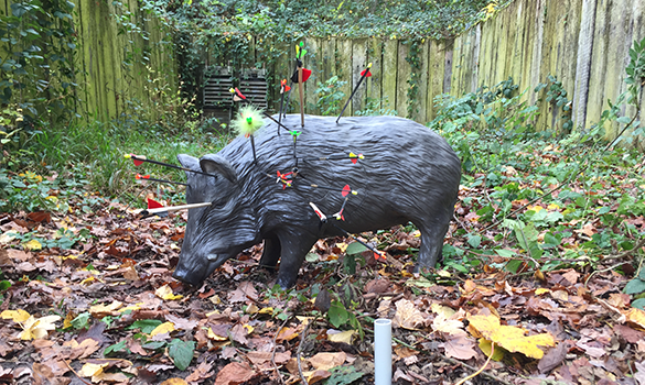 3D-Ziel-Wildschwein