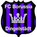 FC Borussia Dingelstädt