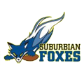 Suburbian Foxes