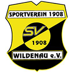 SV 1908 Wildenau