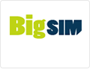 Bigsim