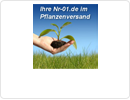 Nr-01 Pflanzenversand